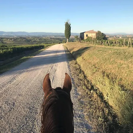 Daire La Contessa Tower House *
