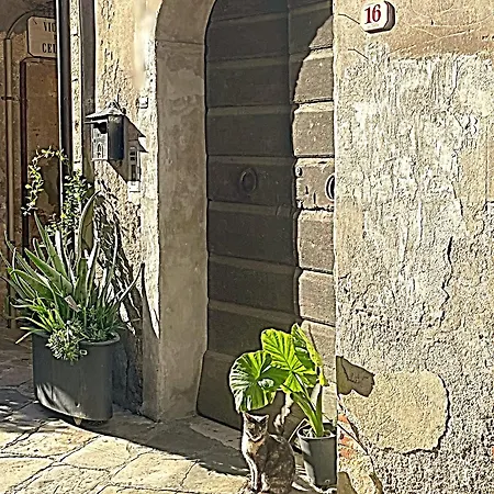 La Contessa Tower House *